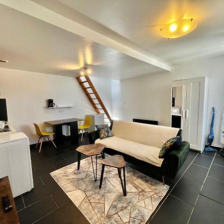 Studios au quartier pavillonnaire rue d Ambert Orléans Extérieur photo